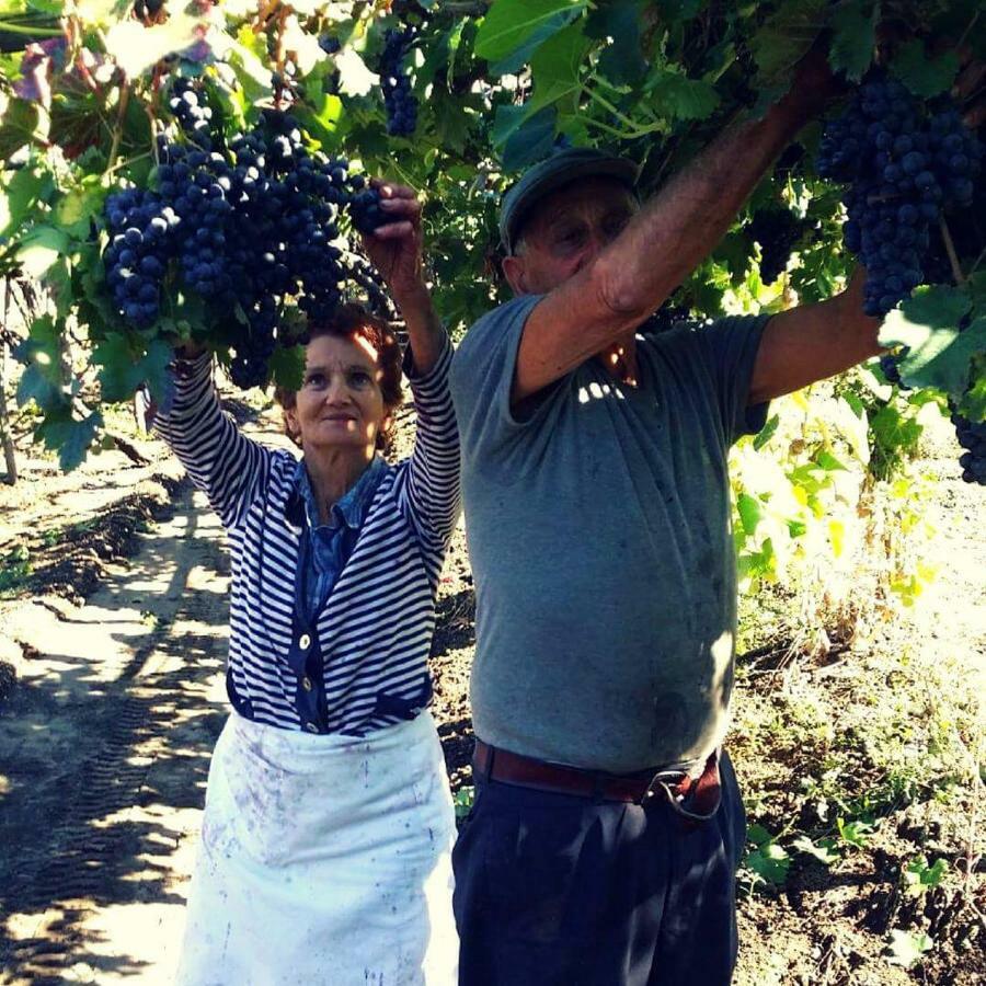 Agriturismo A Do' Cumparone Corbara  Экстерьер фото